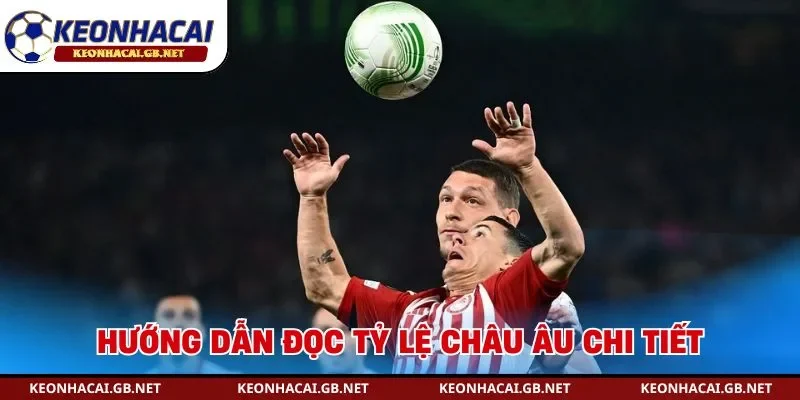 Hướng dẫn đọc tỷ lệ châu Âu chi tiết